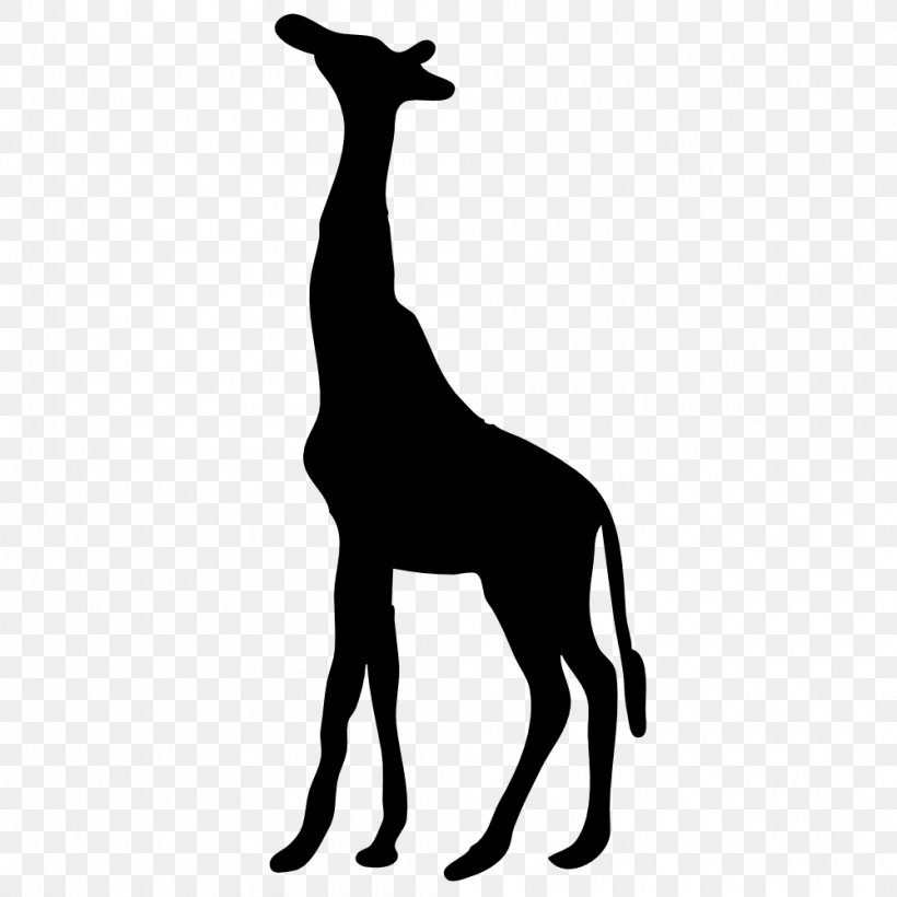 Giraffe Silhouette Clip Art, PNG, 1000x1000px, Giraffe, Black And White, Decal, Fauna, Free Content Download Free
