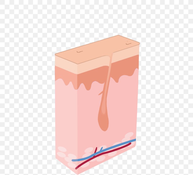 Laser Hair Removal Shaving, PNG, 424x745px, Laser Hair Removal, Box, Chin, Hair, Hair Follicle Download Free