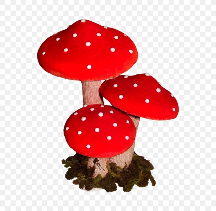 Mushroom, PNG, 617x800px, Mushroom Download Free
