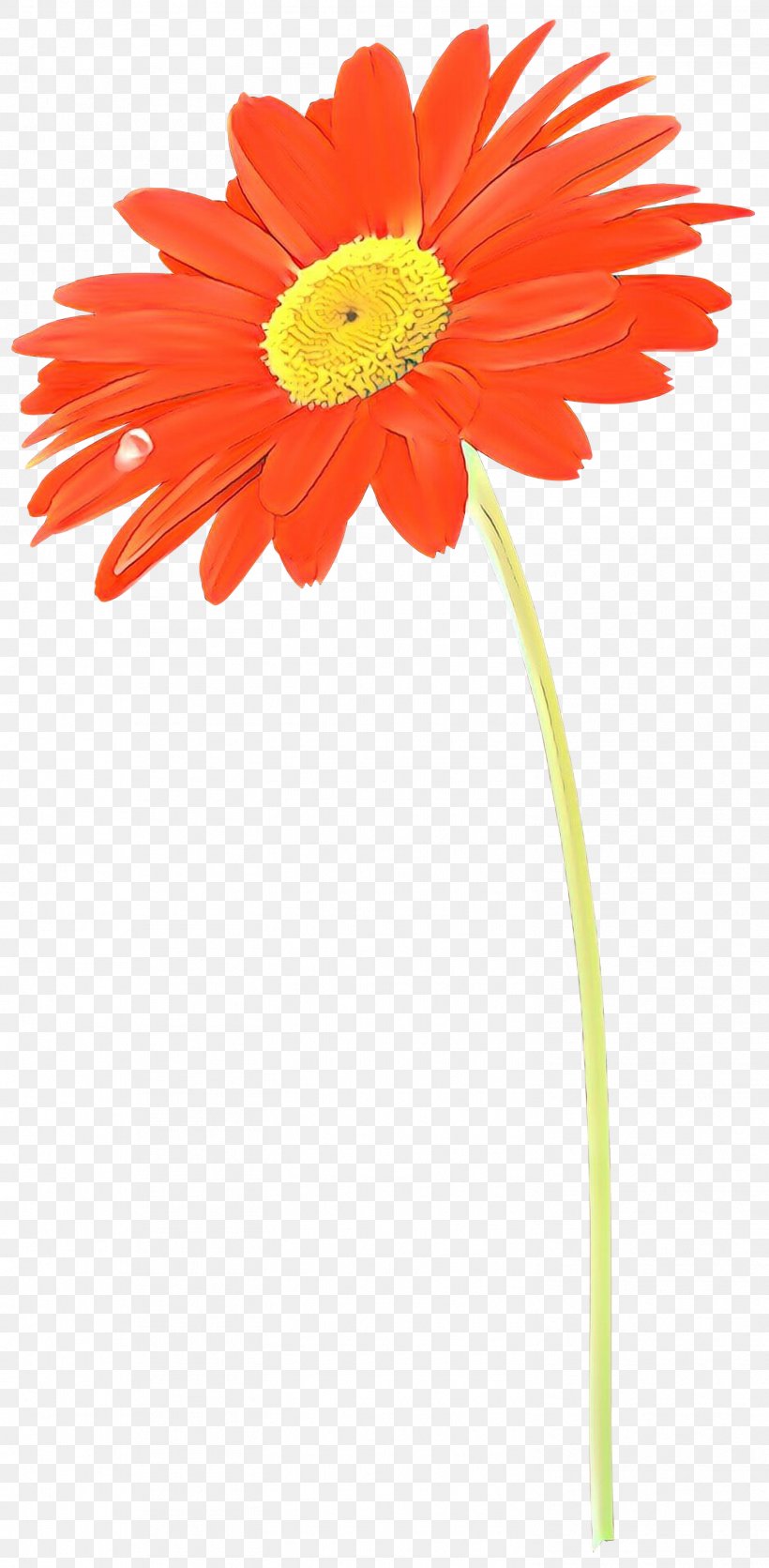 Vector Graphics Clip Art Stock Photography Illustration Shutterstock, PNG, 1471x2999px, Stock Photography, Art, Artificial Flower, Asterales, Barberton Daisy Download Free