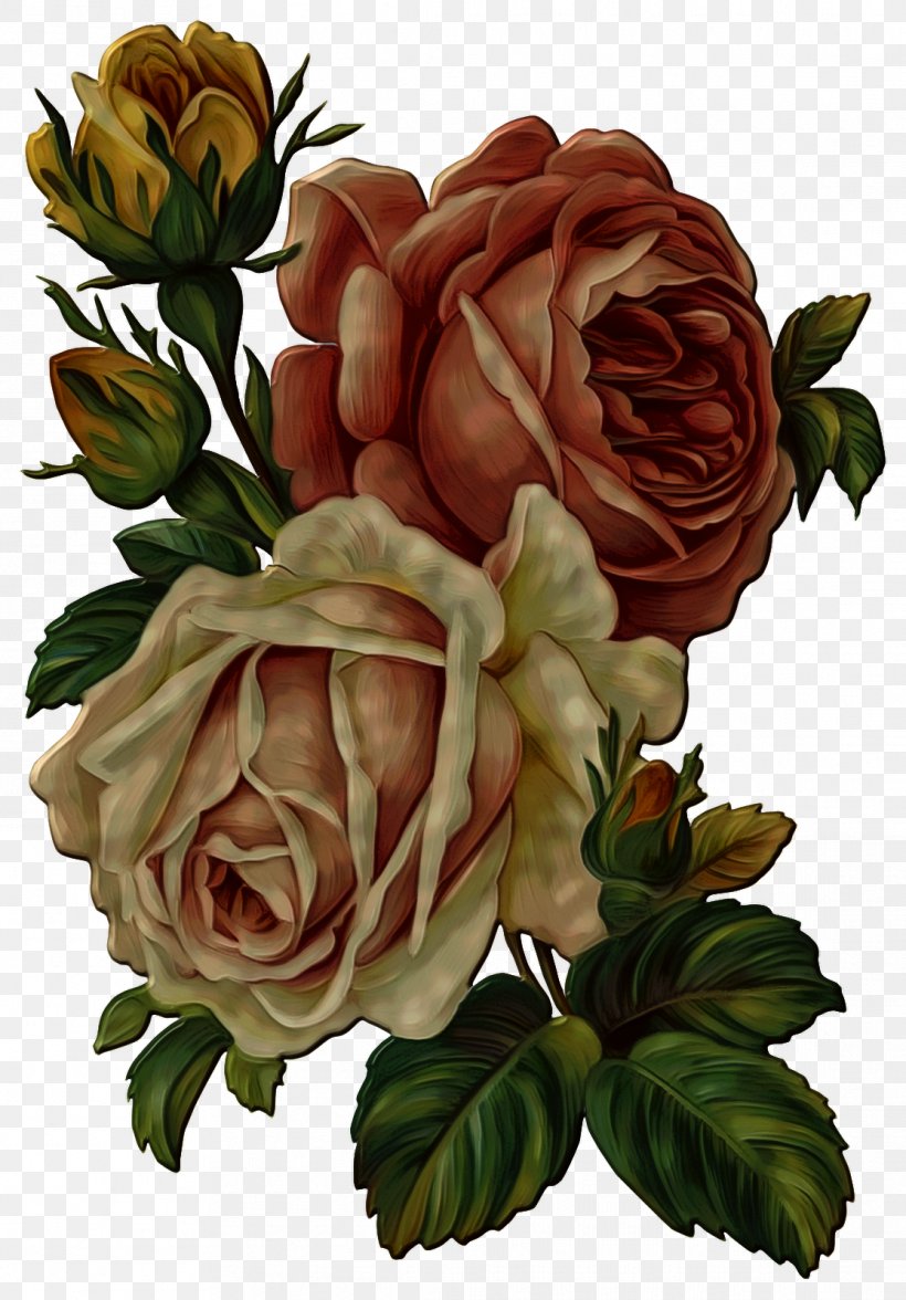 Flower Rose Clip Art, PNG, 1115x1600px, Flower, Art, Cut Flowers, Decoupage, Floral Design Download Free