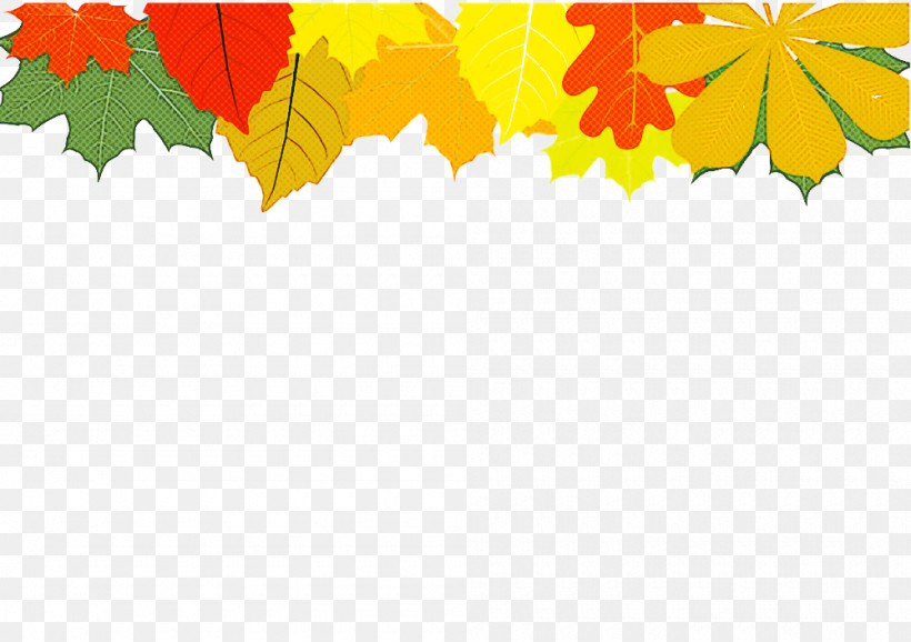 Maple Leaf, PNG, 1000x705px, Leaf, Autumn, Black Maple, Maple Leaf, Plane Download Free