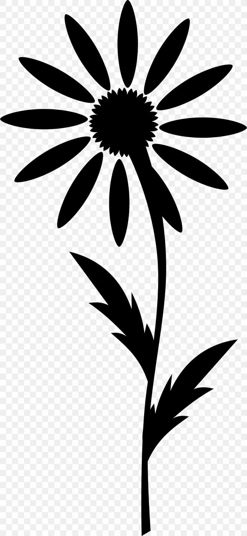 Pendant Product Sales Marketing Country Home Cafe, PNG, 1106x2400px, Pendant, Blackandwhite, Blackeyed Susan, Botany, Camomile Download Free
