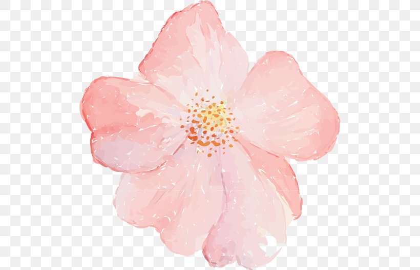 Adobe Illustrator Flower Illustration, PNG, 510x526px, Flower, Blossom