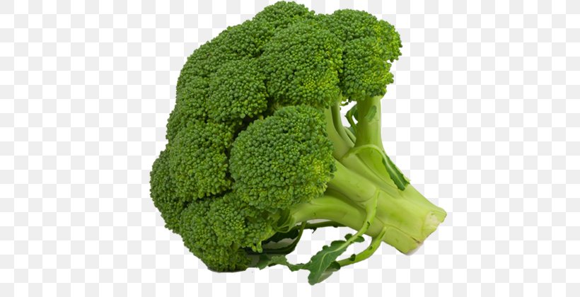 Broccoli Cruciferous Vegetables Cauliflower Kale, PNG, 499x420px, Broccoli, Brassica Oleracea, Cabbage, Cauliflower, Chinese Broccoli Download Free