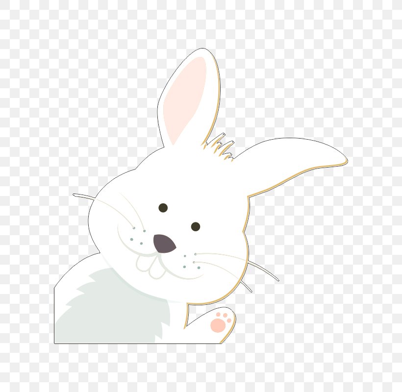 Domestic Rabbit Easter Bunny Hare Whiskers Rat, PNG, 800x800px, Domestic Rabbit, Canidae, Carnivoran, Cartoon, Dog Download Free