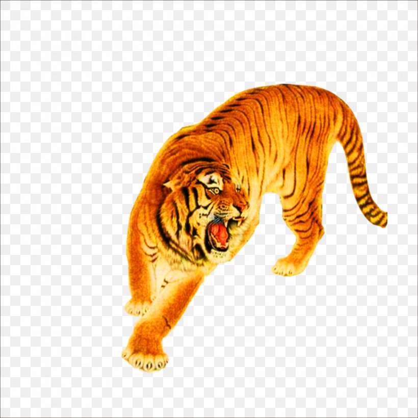 Tiger Lion Cat Leopard, PNG, 1773x1773px, Tiger, Animal, Big Cat, Big Cats, Carnivoran Download Free