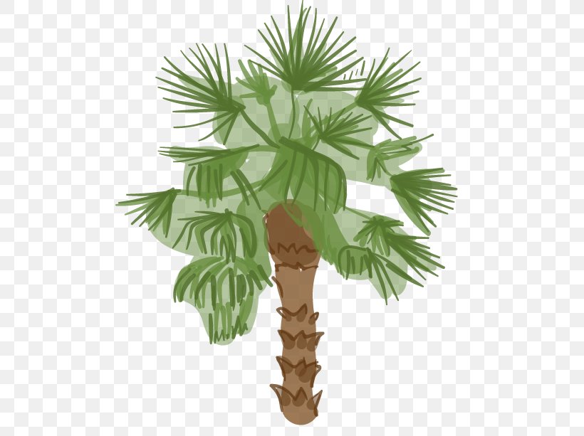 Arecaceae Los Angeles Tree Woody Plant, PNG, 530x613px, Arecaceae, Areca Palm, Arecales, Asian Palmyra Palm, Borassus Download Free