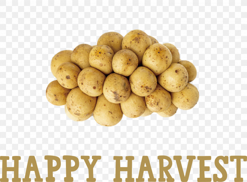 Happy Harvest Harvest Time, PNG, 3000x2221px, Happy Harvest, Boiled Potatoes, Cooking, Fruit, Harvest Time Download Free