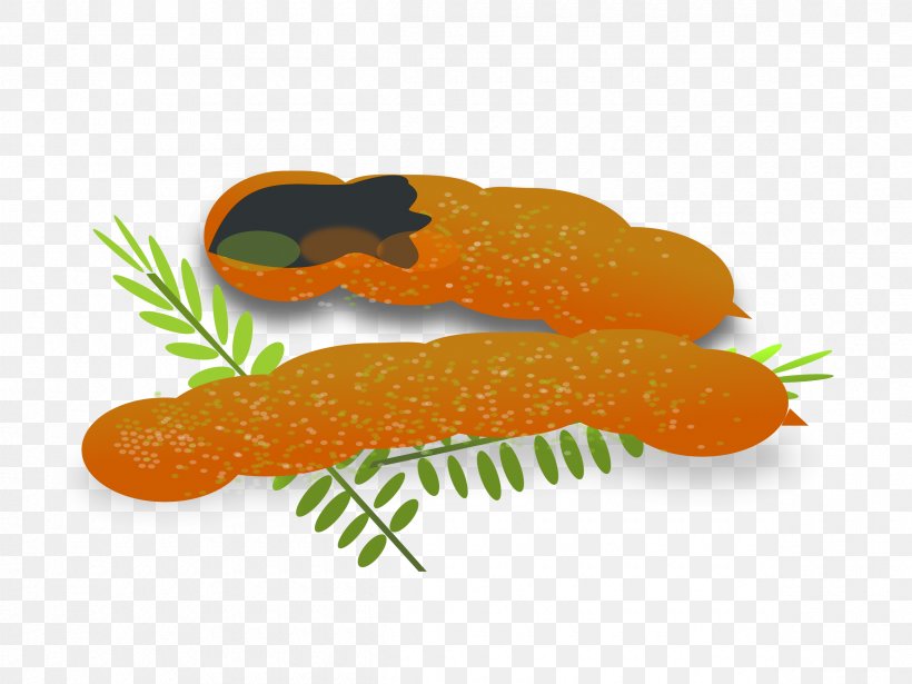 Tamarind Royalty-free Stock Photography Clip Art, PNG, 2400x1800px, Tamarind, Carrot, Fish, Food, Fruit Download Free