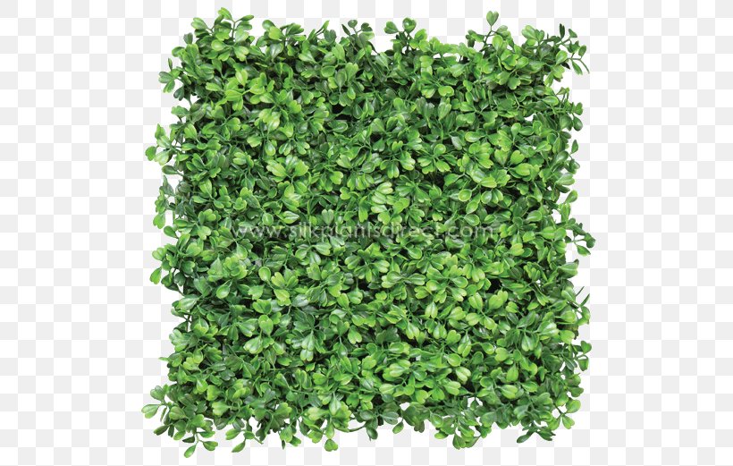 Box Mat Hedge Green Wall Fence, PNG, 595x521px, Box, Artificial Flower, Artificial Turf, Fence, Garden Download Free