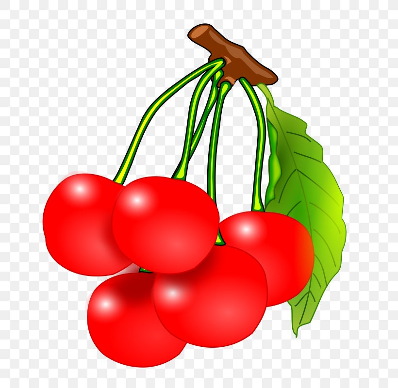 Clip Art Fruit Openclipart Cherries Free Content, PNG, 800x800px, Fruit, Apple, Bush Tomato, Cherries, Cherry Download Free