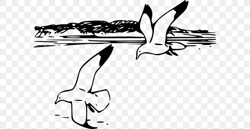Gulls Clip Art Vector Graphics Image, PNG, 600x424px, Gulls, Art, Beak, Bird, Blackandwhite Download Free