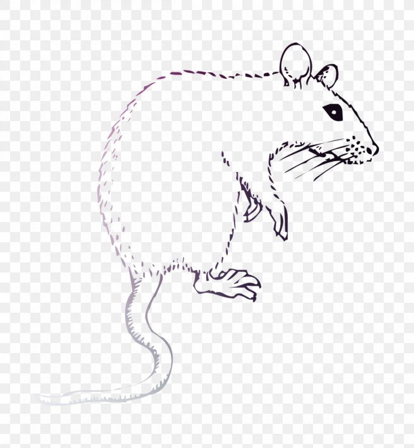 Rat Drawing Clip Art /m/02csf Hare, PNG, 1200x1300px, Rat, Art, Computer Mouse, Drawing, Fauna Download Free