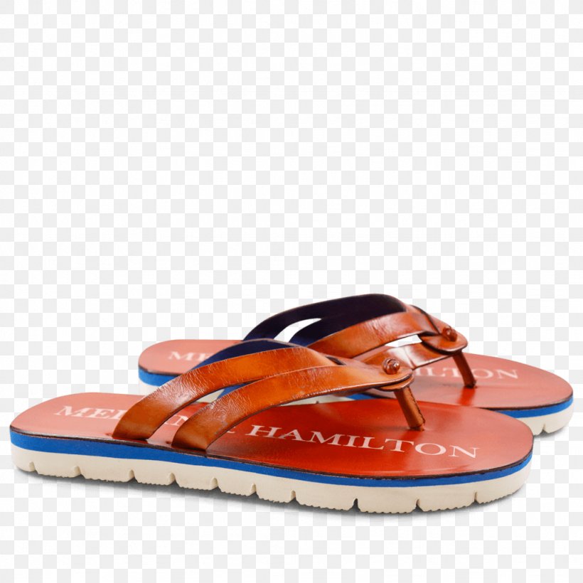 Flip-flops Shoe, PNG, 1024x1024px, Flipflops, Electric Blue, Flip Flops, Footwear, Orange Download Free