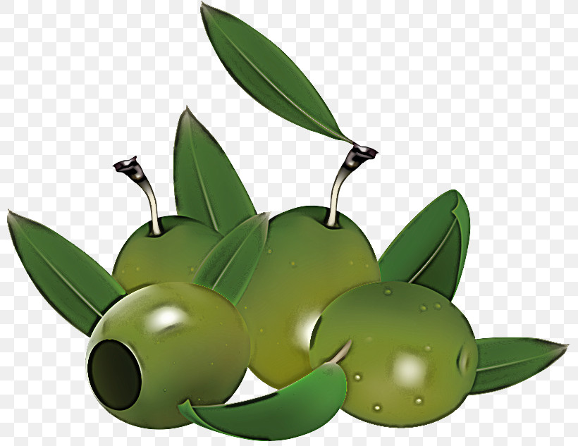 Leaf Fruit Green Plant Olive, PNG, 800x633px, Leaf, Flower, Food, Fruit, Green Download Free