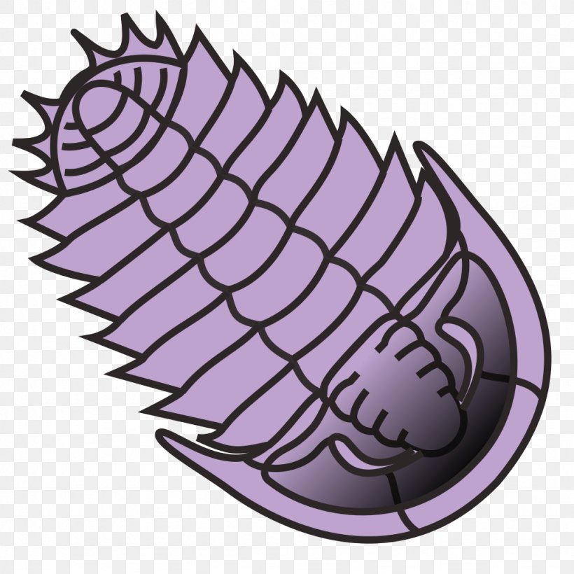 Trilobite Clip Art, PNG, 1024x1024px, Trilobite, Banco De Imagens, Belarusian Wikipedia, Drawing, Filename Extension Download Free