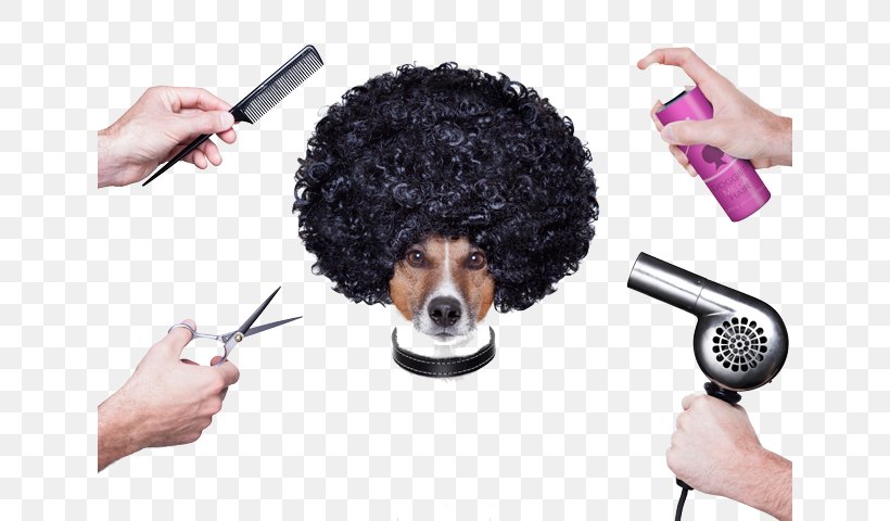 Comb Dog Grooming Day Spa, PNG, 640x480px, Comb, Beauty Parlour, Can Stock Photo, Day Spa, Dog Download Free