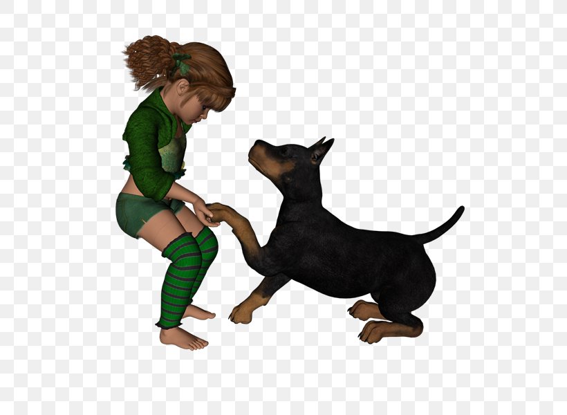 Puppy Dog Breed Leash, PNG, 800x600px, Puppy, Breed, Carnivoran, Dog, Dog Breed Download Free