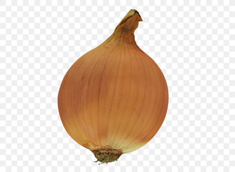 Yellow Onion Shallot Low Poly Normal Mapping, PNG, 593x600px, 3d Computer Graphics, Yellow Onion, Displacement Mapping, Food, Ingredient Download Free