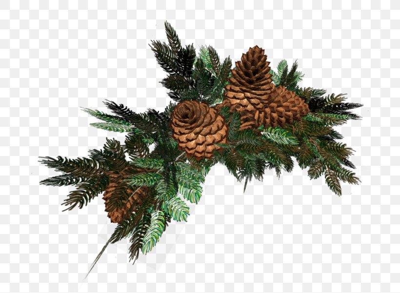 Christmas Designs Spruce LiveInternet Clip Art Branch, PNG, 700x601px, Christmas Designs, Author, Branch, Christmas Decoration, Christmas Ornament Download Free