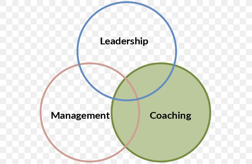 Coaching Mentorship Organization Human Resource Management, PNG, 639x536px, Coaching, Area, Brand, Company, Diagram Download Free