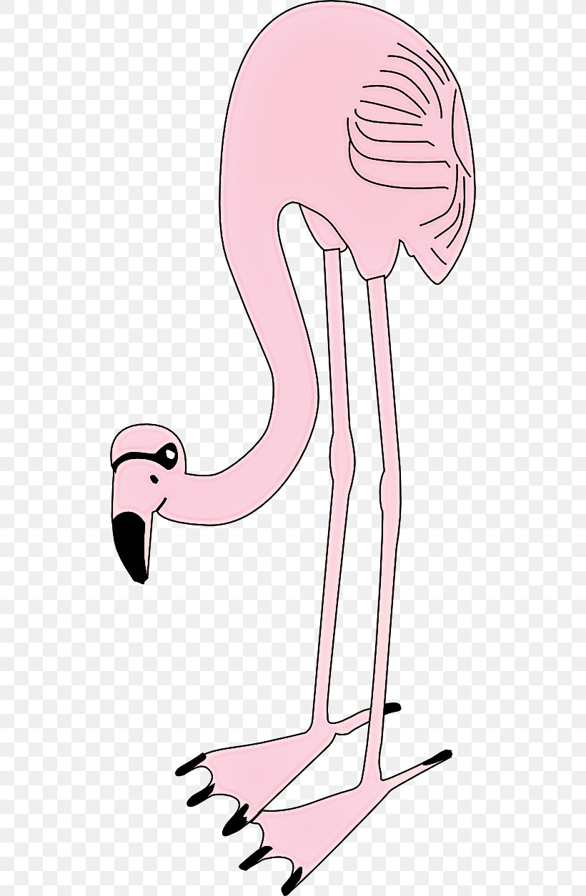 Flamingo, PNG, 512x1255px, Pink, Bird, Flamingo, Greater Flamingo, Joint Download Free