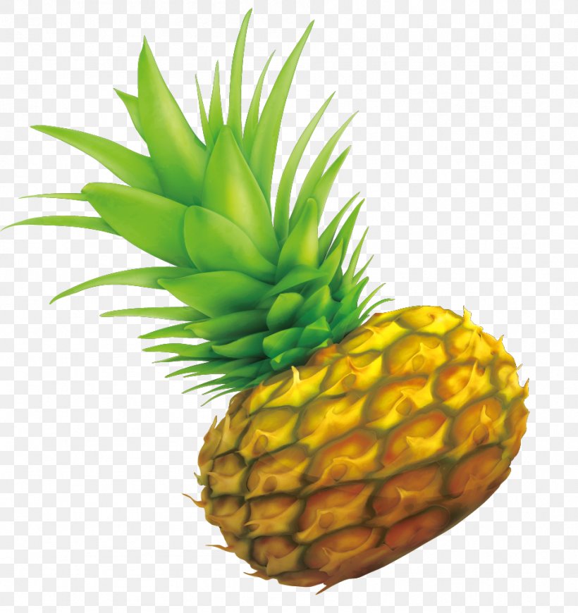 Pineapple Drawing, PNG, 951x1009px, Pineapple, Ananas, Art, Bromeliaceae, Decorative Arts Download Free