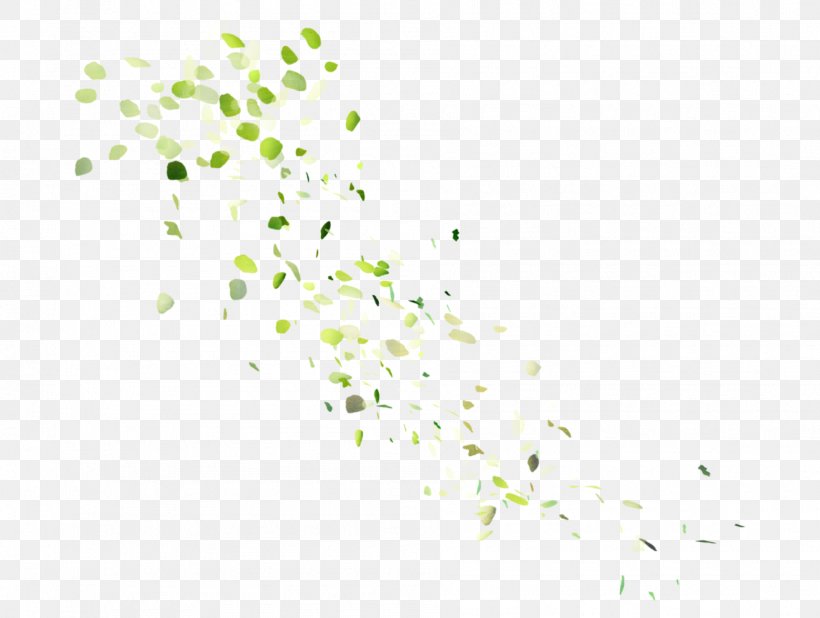 Image Vector Graphics Clip Art Leaf, PNG, 1904x1437px, Leaf, Drawing, Green, Plant, Point Download Free