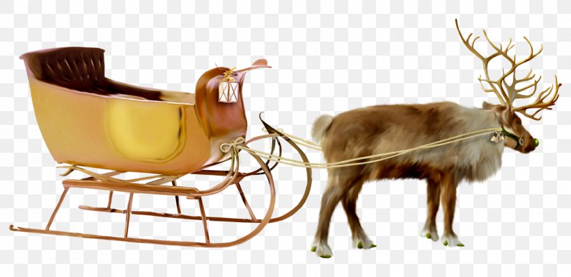 Santa Claus Rudolph Reindeer Clip Art, PNG, 1500x731px, Santa Claus, Animal Figure, Antler, Chair, Christmas Day Download Free