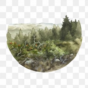 Painting - Watercolor Painting Artist Work Of Art PNG