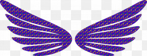 Wings Bird Wings Angle Wings PNG