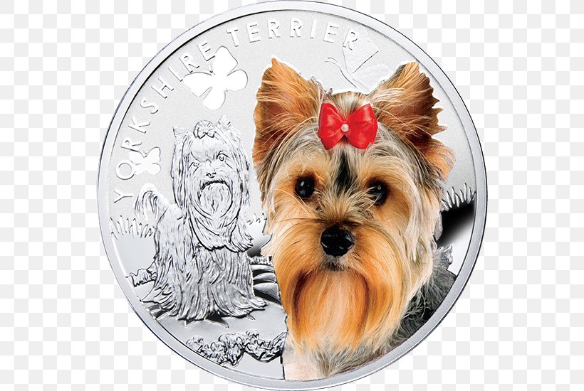 Yorkshire Terrier Puppy Coin Silver, PNG, 550x550px, Yorkshire Terrier, American Kennel Club, Australian Silky Terrier, Australian Terrier, Biewer Terrier Download Free