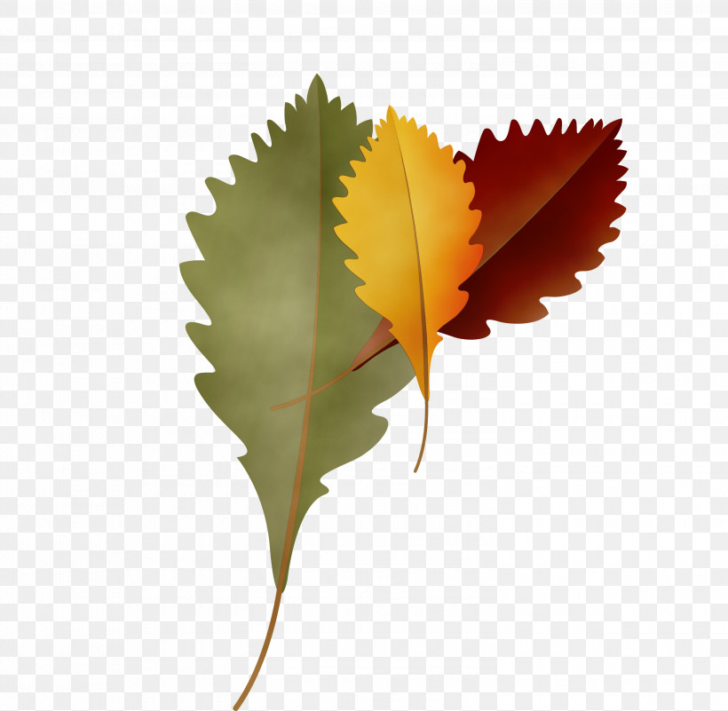 Maple Leaf, PNG, 3000x2931px, Autumn Leaf, Biology, Cartoon Leaf, Fall Leaf, Leaf Download Free