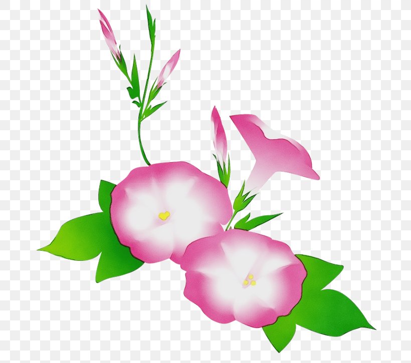 Pink Flowers Background, PNG, 709x725px, Petal, Bouquet, Branch, Cut Flowers, Floral Design Download Free