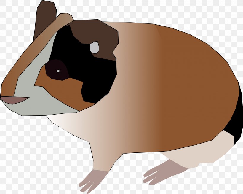 Guinea Pig Rodent Hamster Clip Art, PNG, 2400x1916px, Guinea Pig, Beak, Cage, Carnivoran, Dog Like Mammal Download Free