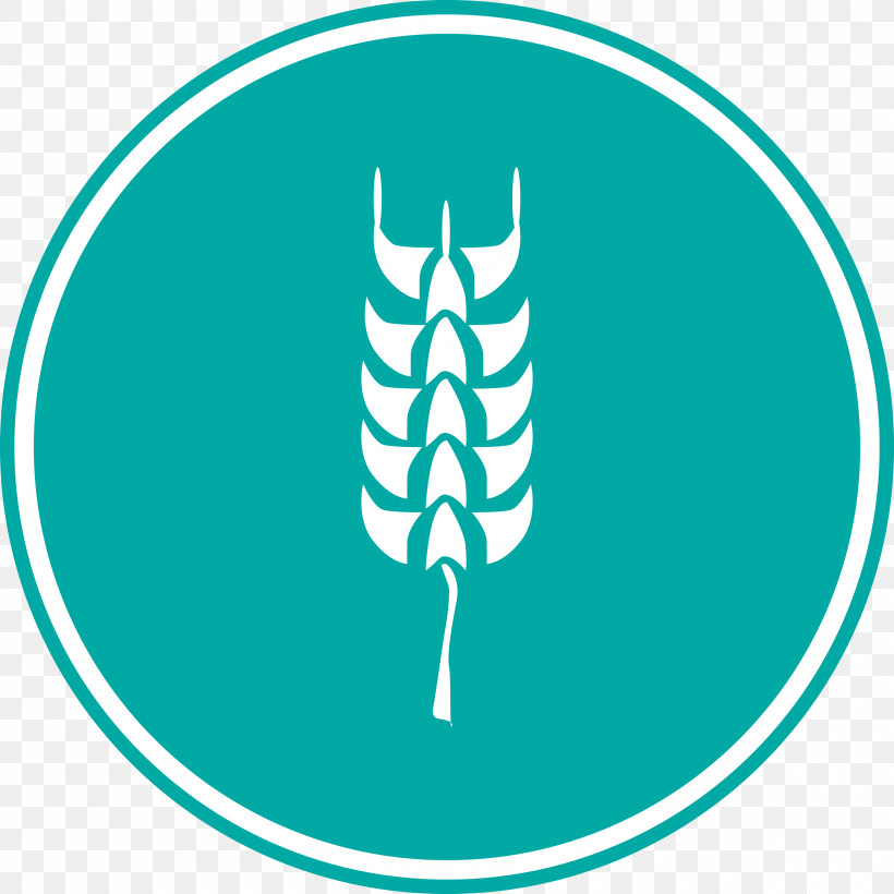 Oats Wheat Oats Logo, PNG, 3000x3000px, Oats, Biology, Green, Leaf, Line Download Free