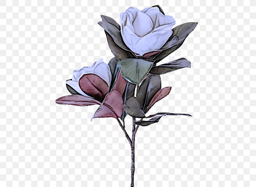 Artificial Flower, PNG, 800x600px, Flower, Artificial Flower, Cut Flowers, Flowering Plant, Magnolia Download Free