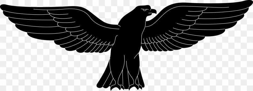 Eagle Northern Goshawk Black Sparrowhawk Bird, PNG, 2400x875px, Eagle, Accipitrinae, Beak, Bird, Bird Of Prey Download Free