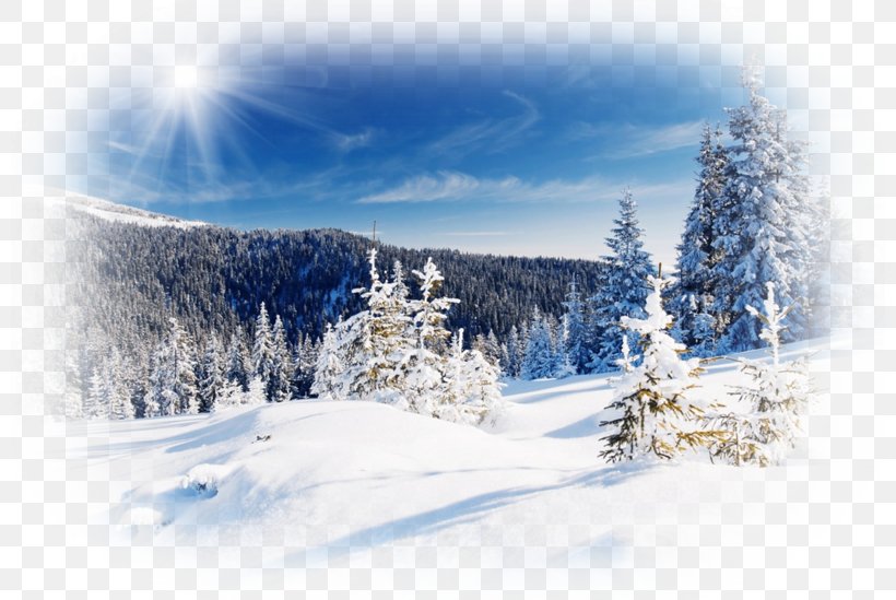 Desktop Wallpaper Winter Snow, PNG, 800x549px, 2019, Winter, Arctic, Conifer, Display Resolution Download Free