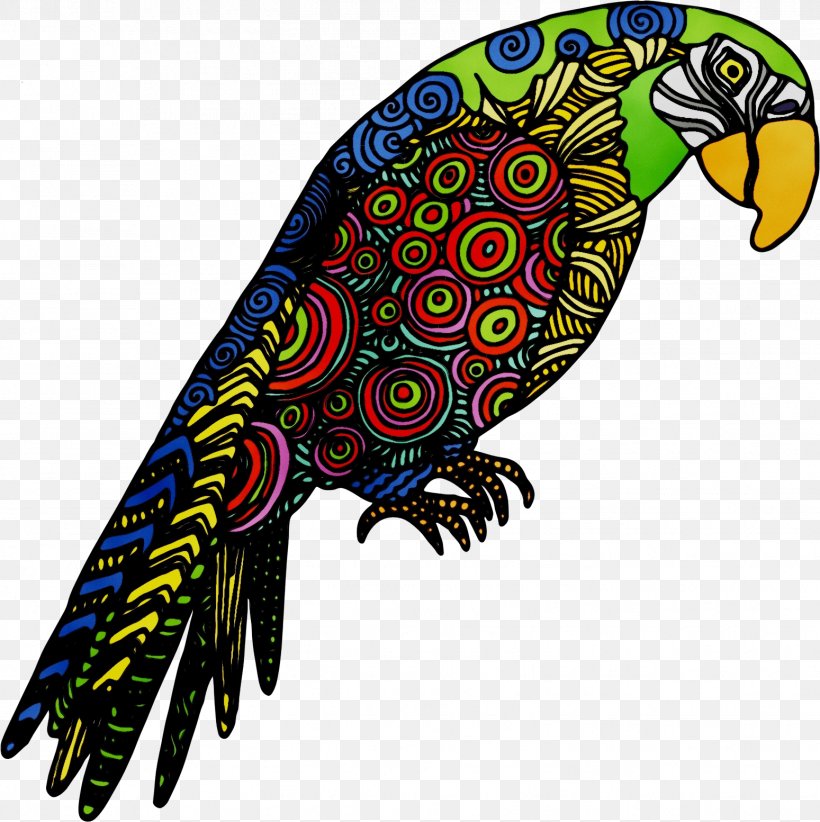 Macaw Beak Bird Parakeet Feather, PNG, 1549x1553px, Macaw, Beak, Bird, Bird Of Prey, Fauna Download Free