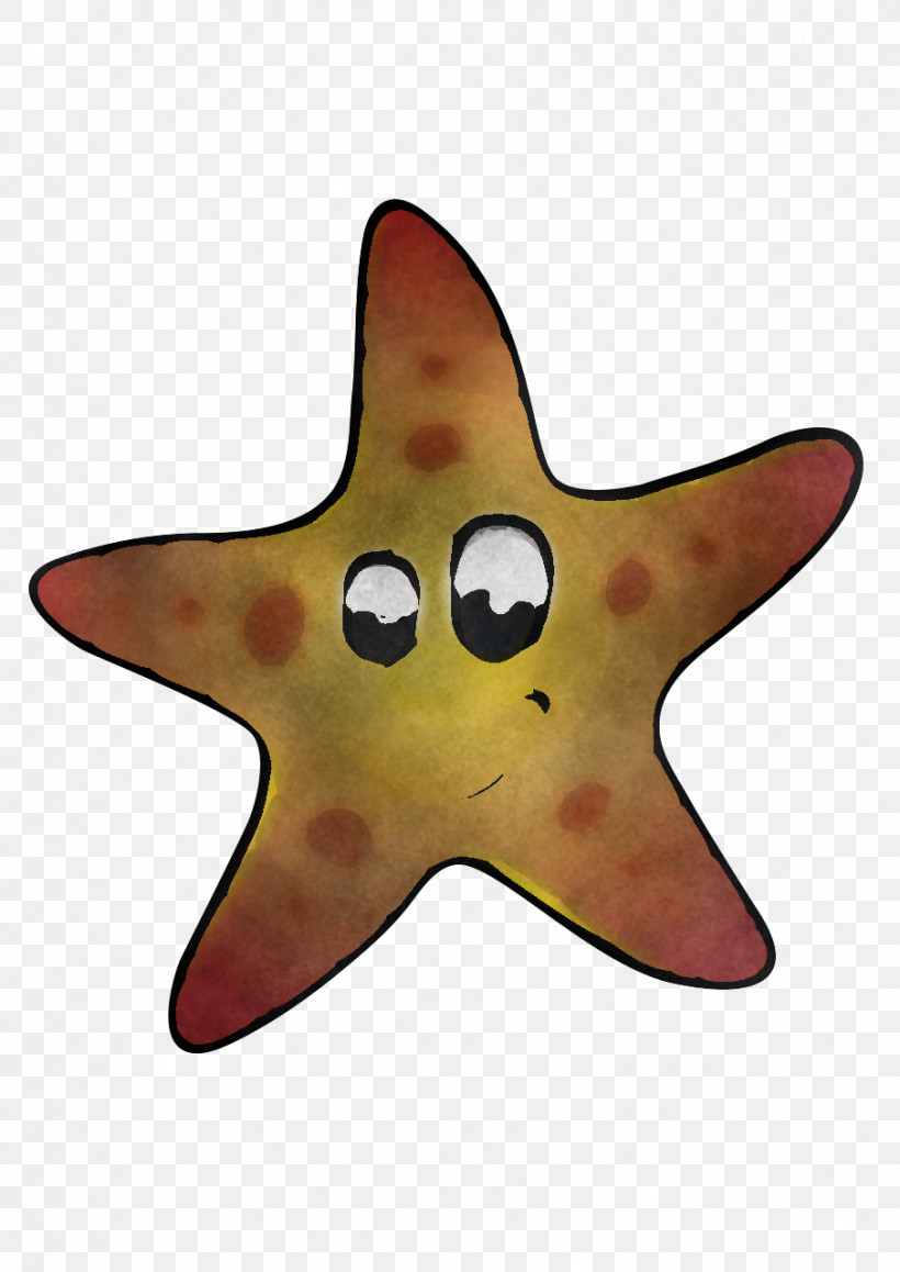 Starfish Biology Science, PNG, 906x1280px, Starfish, Biology, Science Download Free