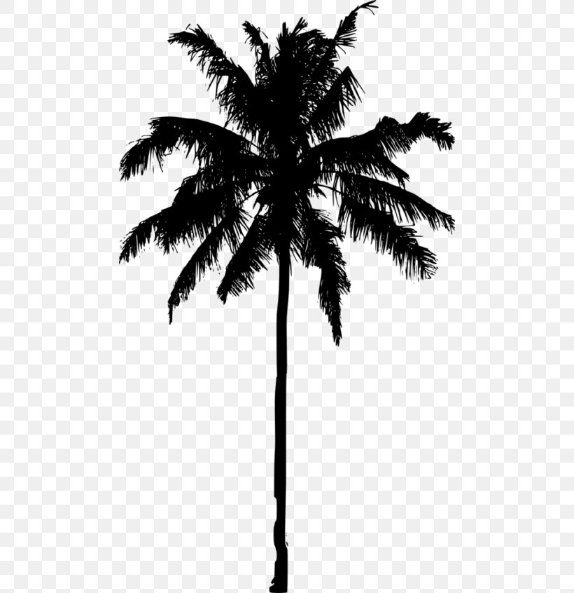 Arecaceae Date Palm Silhouette Tree Asian Palmyra Palm, PNG, 480x846px, Arecaceae, Arecales, Asian Palmyra Palm, Black And White, Borassus Download Free