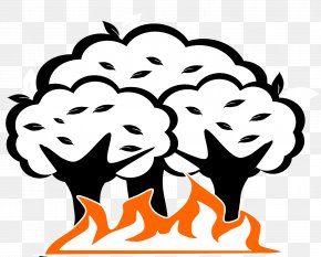 Disaster - Drawing Wildfire Natural Disaster Clip Art PNG