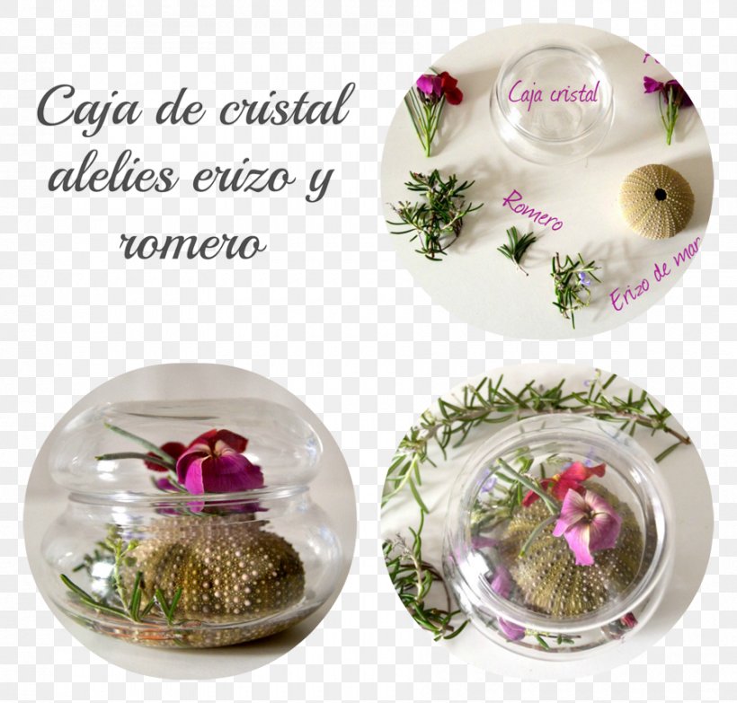 Flower - Flower Vase Floral Design Glass Cup PNG