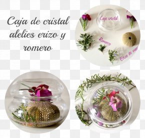 Flower - Flower Vase Floral Design Glass Cup PNG