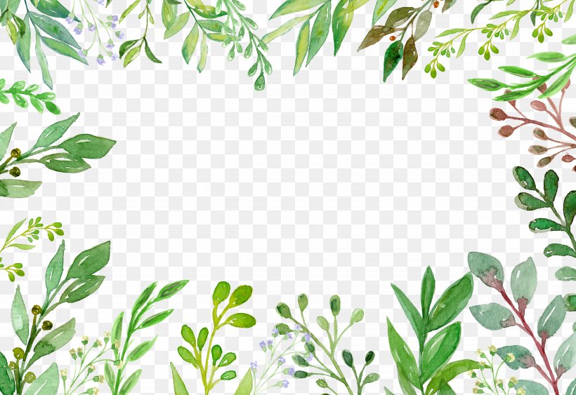 Green Plant Euclidean Vector Vecteur, PNG, 4800x3300px, Green, Area, Branch, Designer, Drawing Download Free