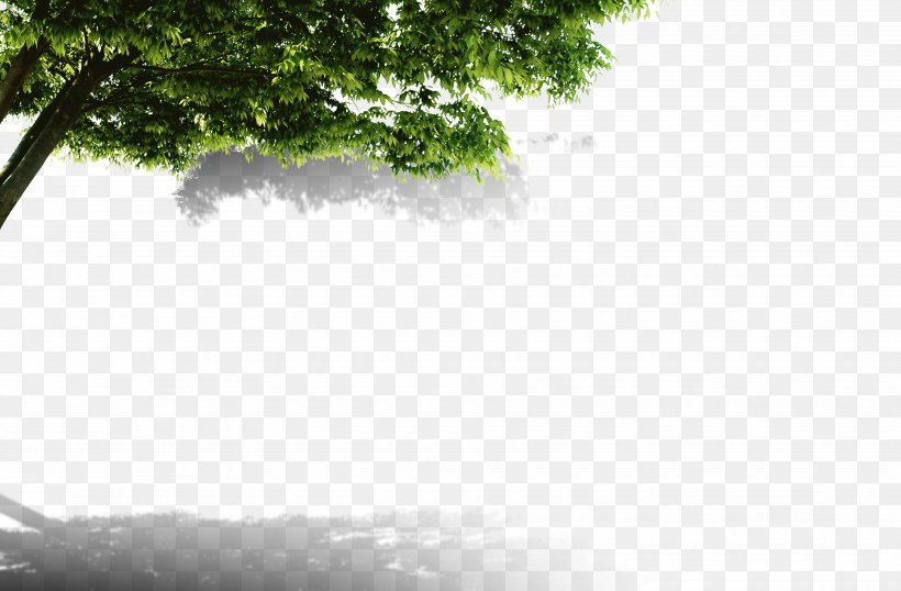 Child Tree Brand Chin, PNG, 3500x2300px, Child, Black And White, Brand, Chin, Franchising Download Free