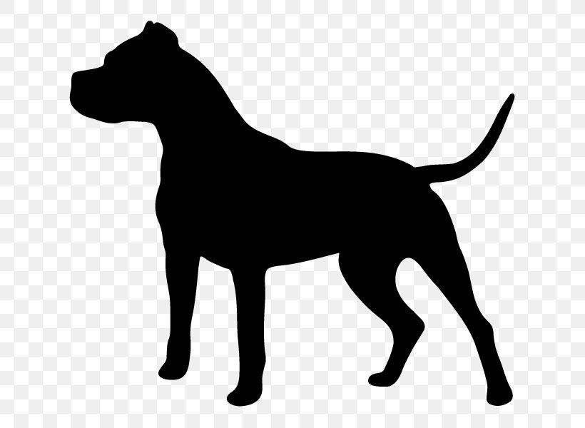 Dogo Argentino South Shore K9 Academy Zazzle Dog Training, PNG, 800x600px, Dogo Argentino, Black, Black And White, Carnivoran, Decal Download Free