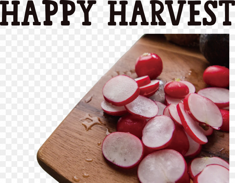 Happy Harvest Harvest Time, PNG, 3000x2327px, Happy Harvest, Carrot, Daikon, Dietary Fiber, Eating Download Free